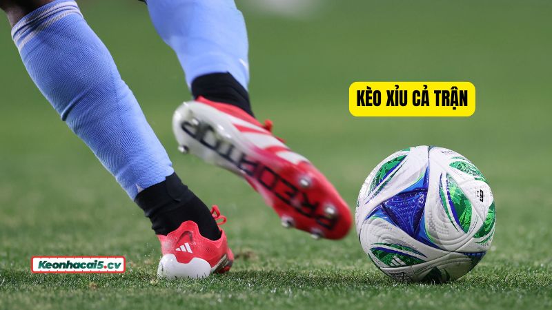 Cách bắt kèo Xỉu cả trận cho giải đấu thực dụng là ưu tiên các giải có xu hướng về Xỉu Cách bắt kèo Xỉu cả trận cho giải đấu thực dụng là ưu tiên các giải có xu hướng về Xỉu